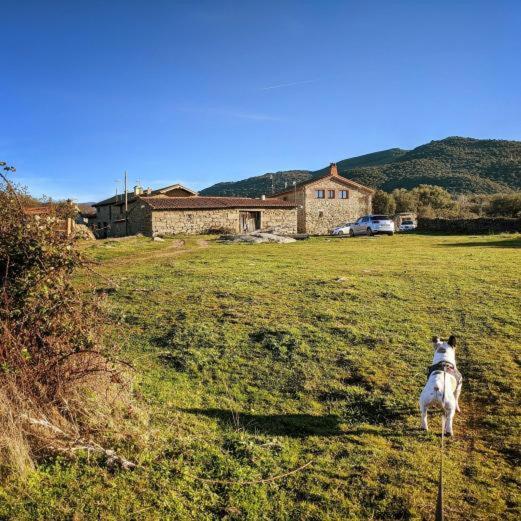 La Candileja Ávila 외부 사진